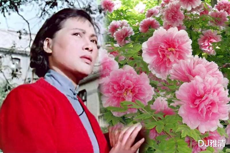 于蓝|50年代影坛十朵金花，王丹凤似百合，于蓝如红梅，秦怡像牡丹一样雍容华美