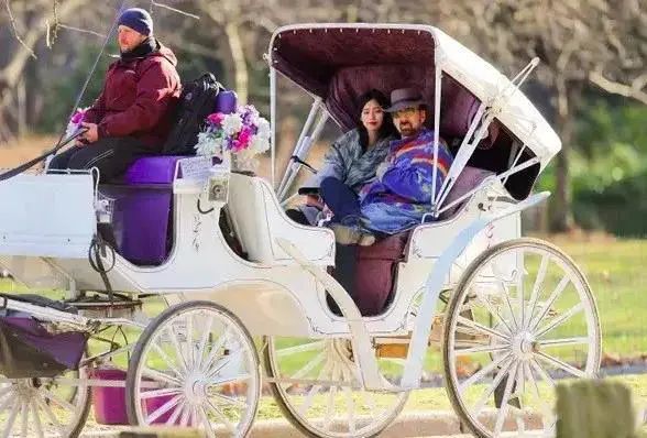 尼古拉斯·凯奇|尼古拉斯·凯奇，破产了！