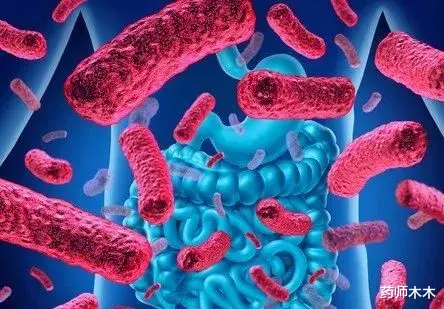 疾病 喝口凉水都要胖？养好这些微生物让减肥事半功倍！