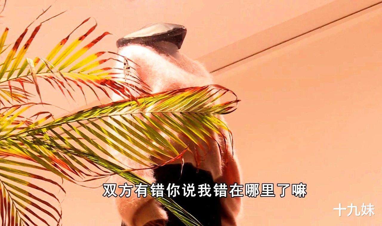 试穿十几件衣服后没有买,顾客遭商家羞辱,店长:我没做错不道歉