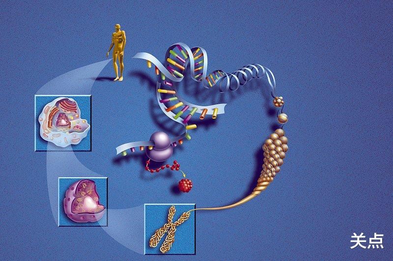 小米科技|滴血验癌美女创始人被定罪，曾被称为女版乔布斯，缔造90亿神话