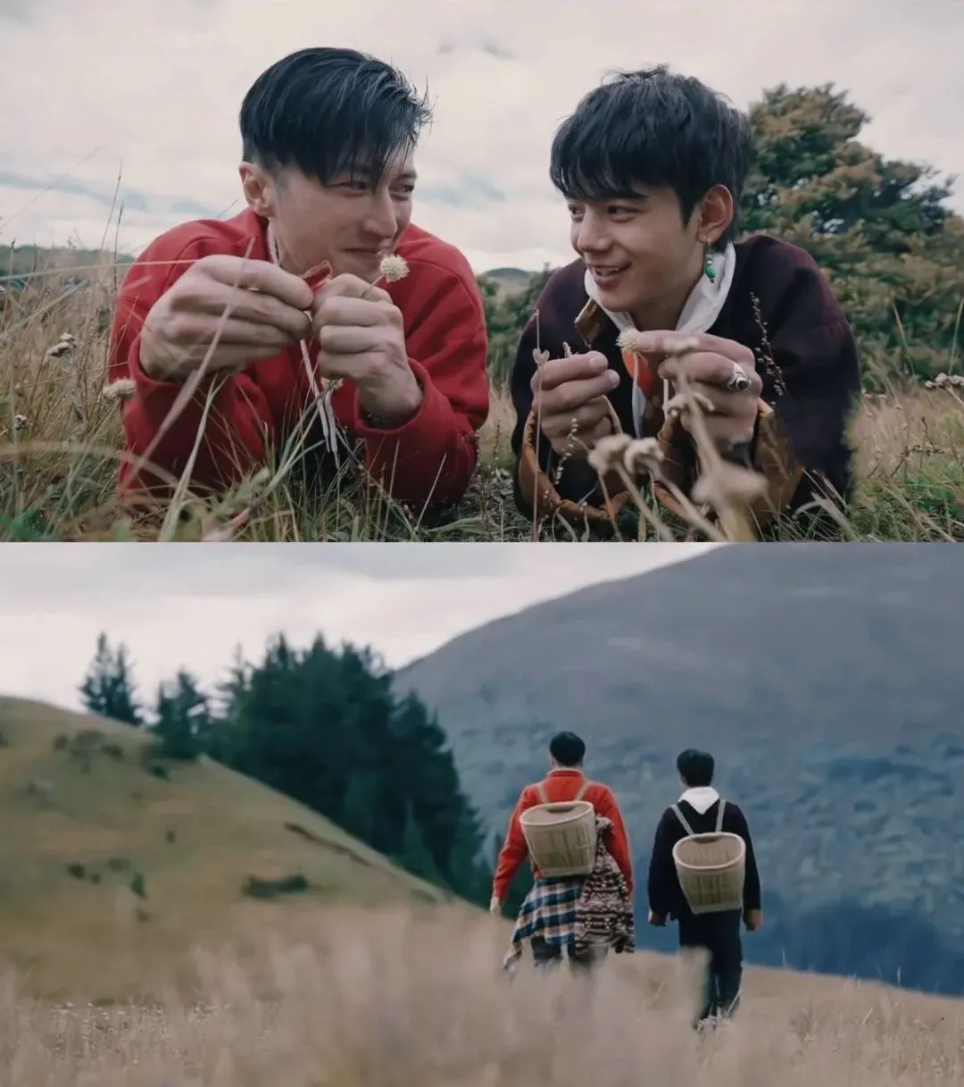 张基龙|谢霆锋和丁真,分不开了