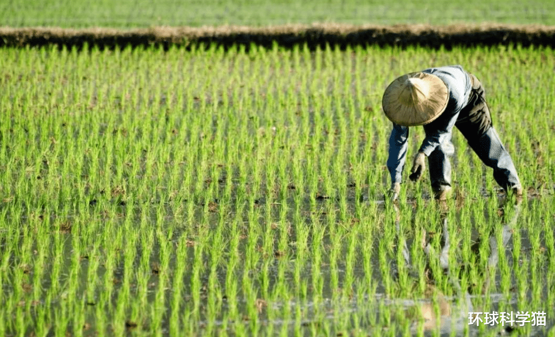 暴雨 特大暴雨！地球怎么了，中国降雨是否每年会北移，北方要变南方？