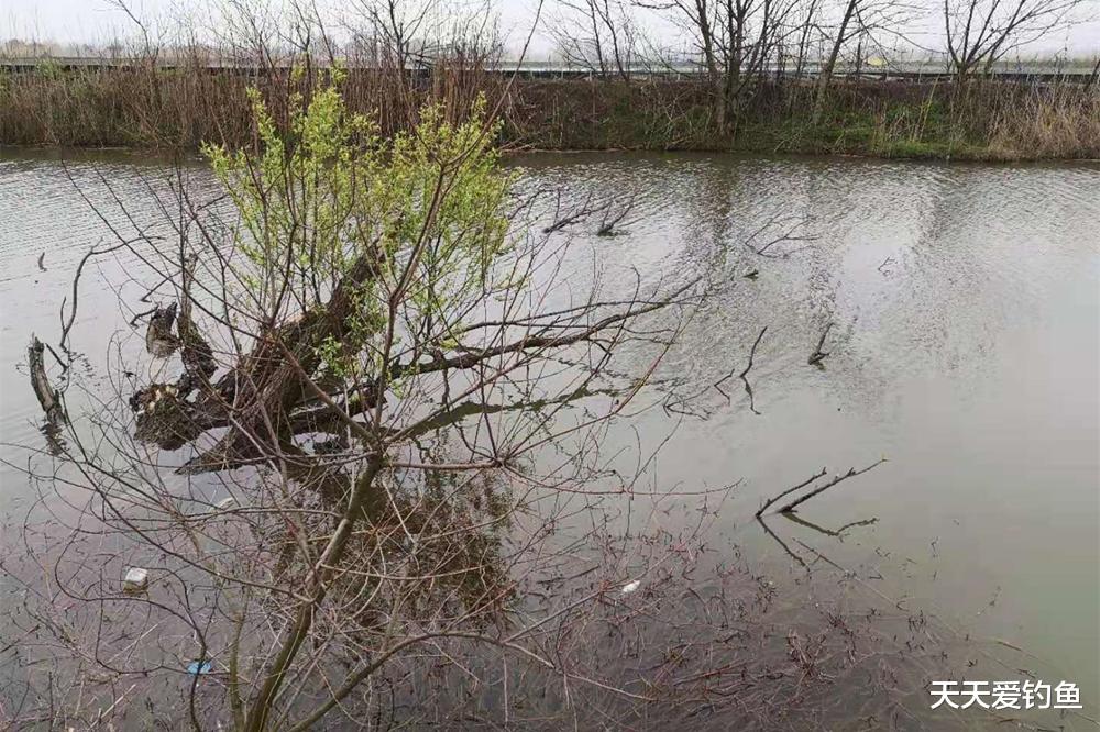 |久坐无鱼，跟选择钓位有关，找鱼群用这三个思路，这些位置鱼扎堆