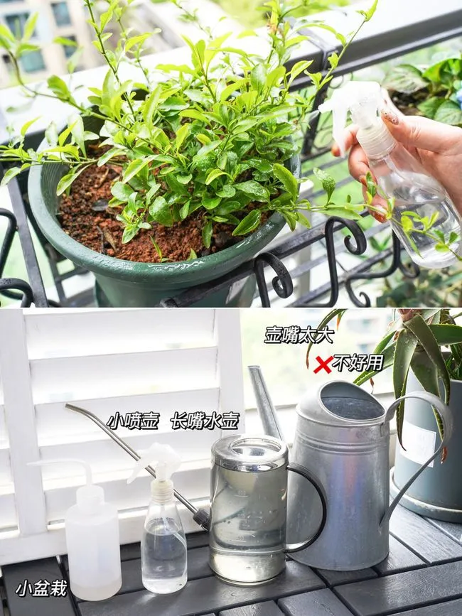 5㎡阳台小花园，一个超治愈的居家休闲空间