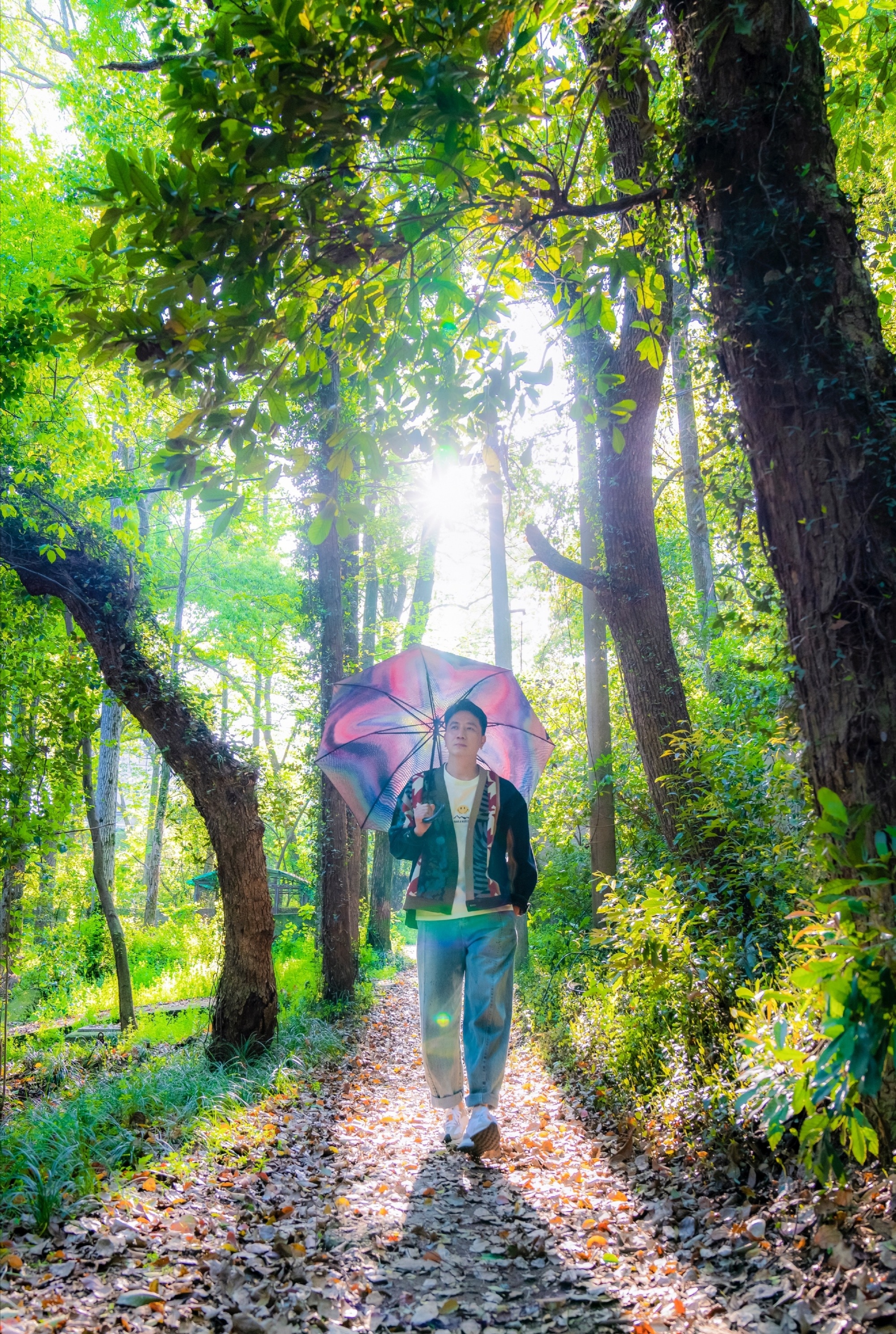 林生斌|朱小贞看上林生斌，靠一张脸成软饭男，保姆似乎不简单