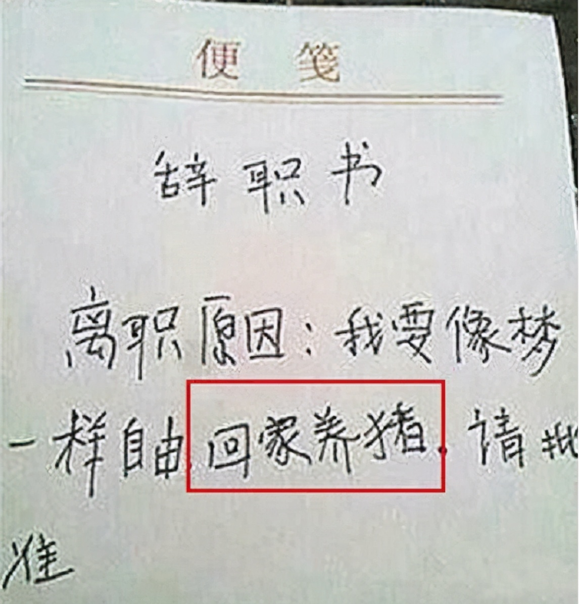 00后|00后毕业生辞职信走红，理由过于嚣张，网友：任性的打工人