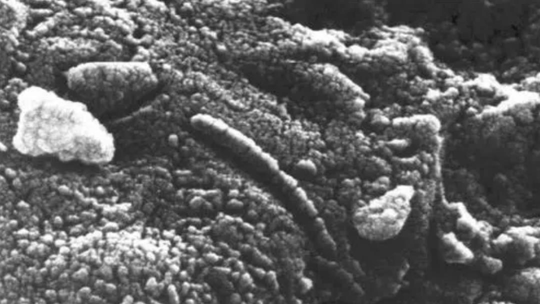 情微说 为什么人类至今没有把火星土壤带回地球？是不敢，还是带不了？