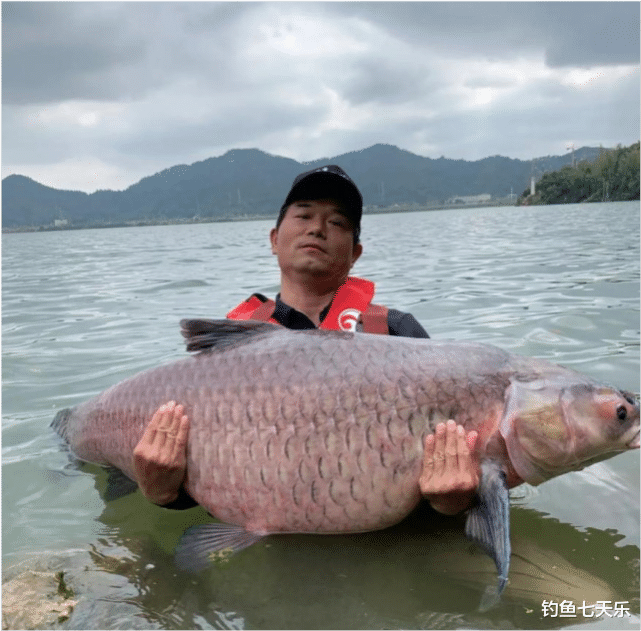 |全网两千多万粉丝，却被质疑“假钓”！邓刚回应：每次钓鱼都是真实的
