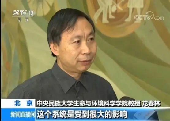 男子花100元买盆花，警察半夜找上门，结果悲剧了