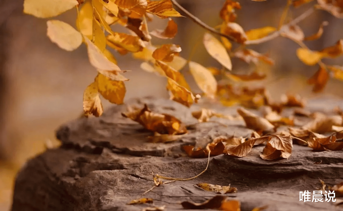 |与人相处，你不得不懂的三个道理