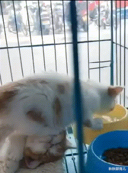 秋秋聊育儿|神回复:女朋友在当足浴技师,工资一个月最少两万起步,正规么?