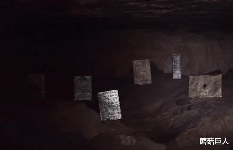 蘑菇巨人|被惊醒的星空客,异星人的狂欢夜,莱瑟塔族要出场了