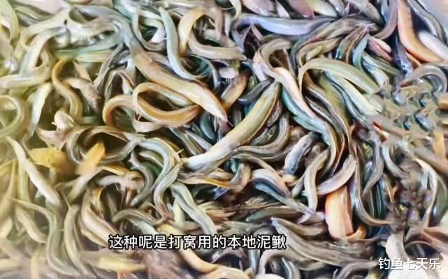 |钓了20斤鱼,却被罚1.2万!重庆两男子为“假垂钓”付出代价