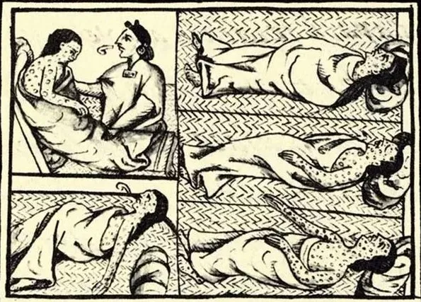 冠状病毒 深度！病毒演化史：把人类搞死，自己也死了，病毒的目的是啥？