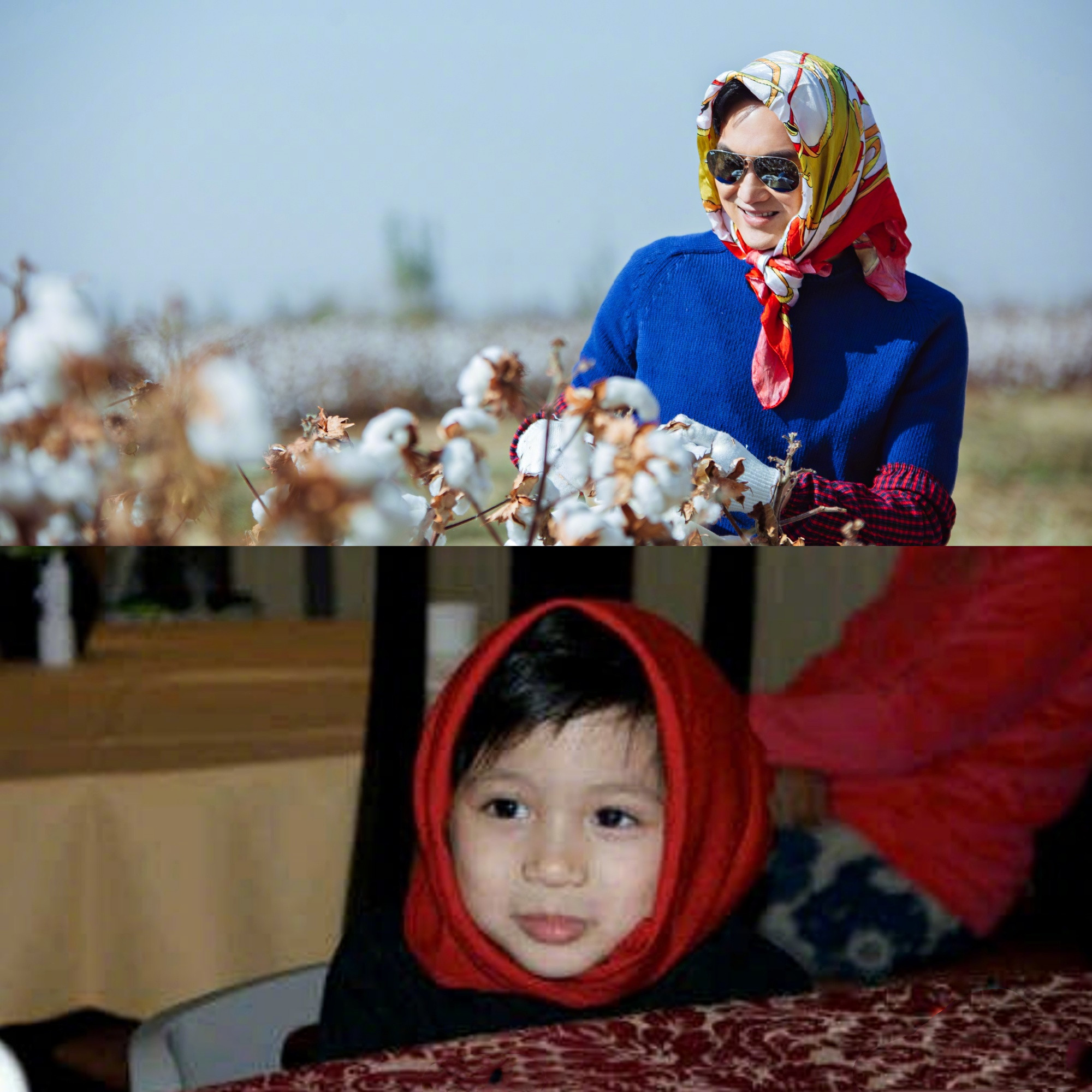 张智霖|袁咏仪调侃张智霖和儿子是狼外婆和小红帽，为芒果台新综艺打call