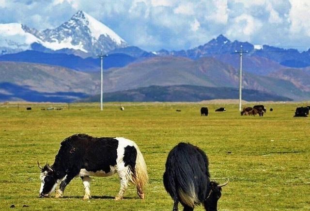 小陈有说 北京大山悬崖里藏着一座豪宅?专家查看发现,这是古代的“衙门”