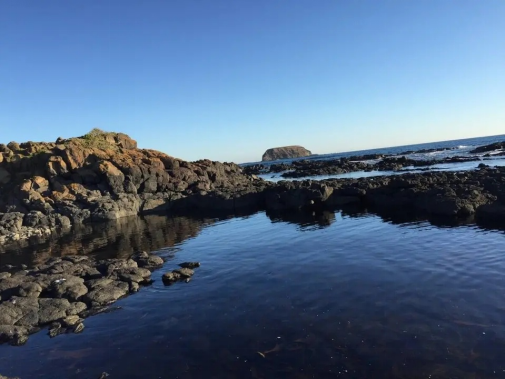 海说移民 2021年，澳洲移民的多种方式，看一看哪种适合你