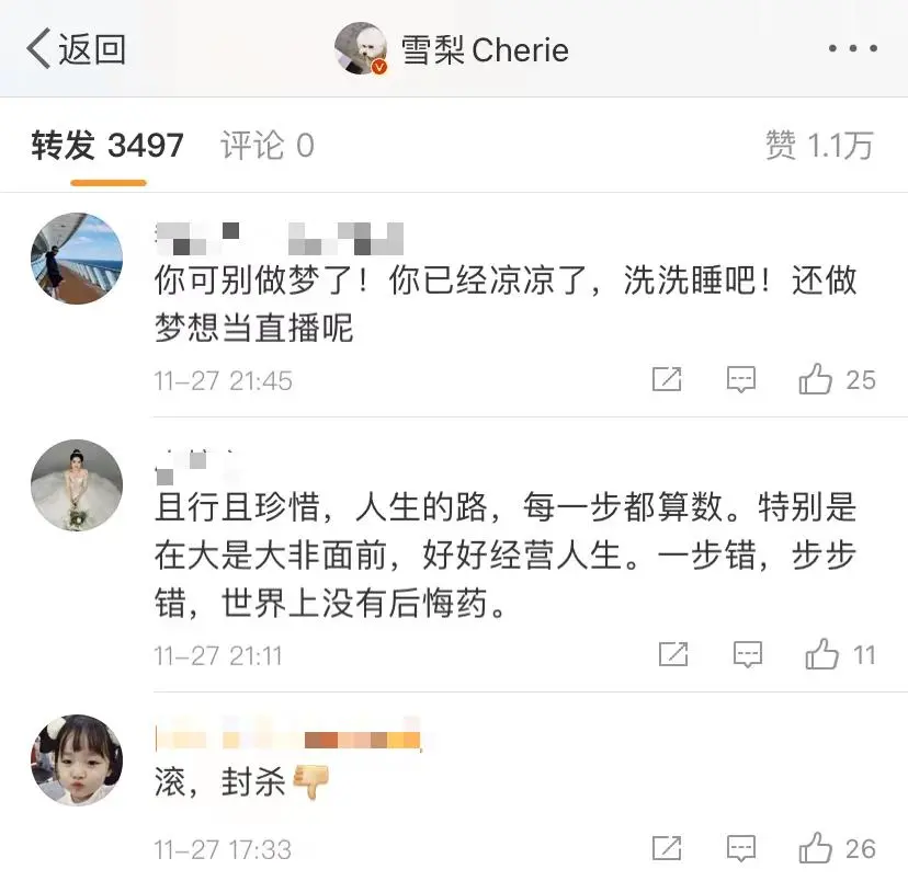 雪梨|逃税被罚近一亿！雪梨、林珊珊还有机会重返直播间吗？