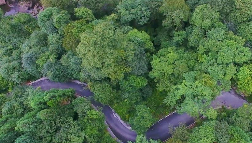 浙江省 四川有座五线城市，被誉为“天府之肺”，夏天避暑必去打卡