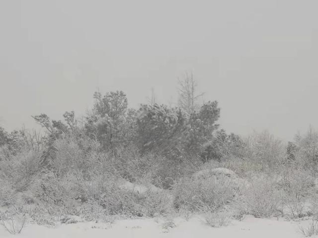 自驾 立夏！黑龙江这里鹅毛大雪，下了14个小时
