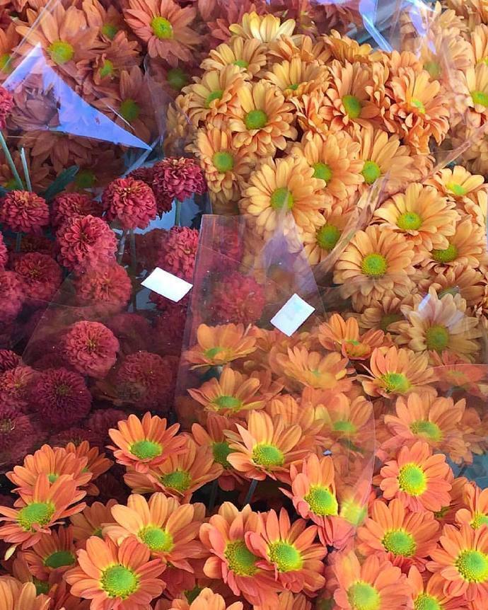 星座性格|职场中,向来有自己的主见,不会人云亦云的3个星座