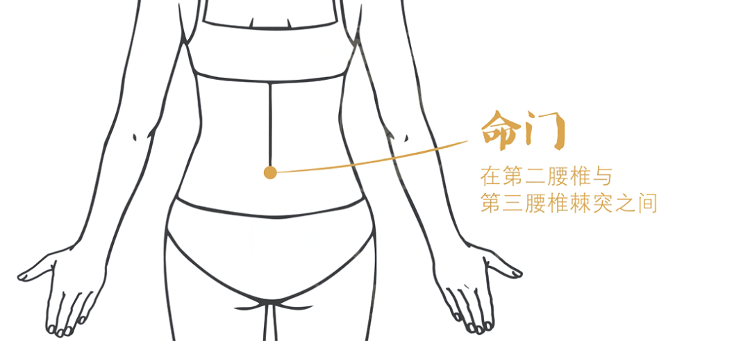 艾灸|阳虚体质-艾灸这五大穴位可以补阳