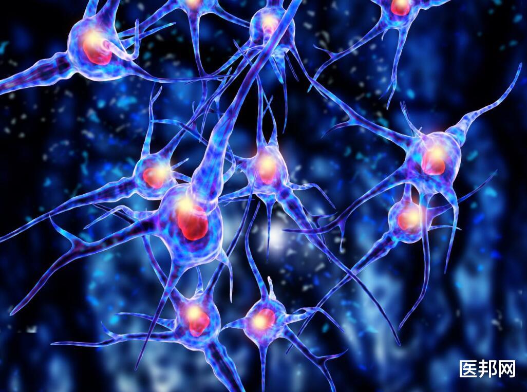 立冬|手抖就是帕金森吗？特发性震颤与帕金森如何鉴别？主要看这两点