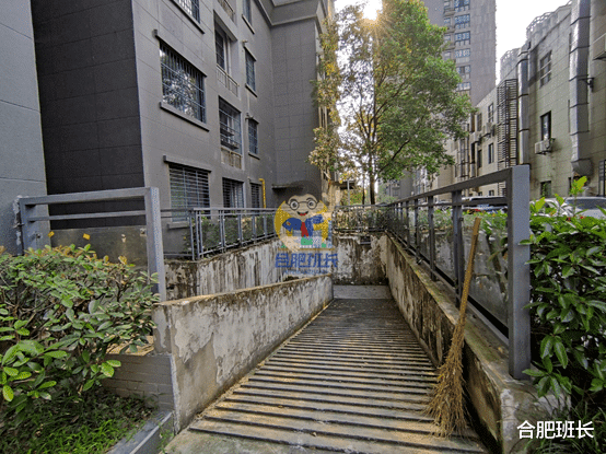 |滨湖二手房天花板，实探46和师范附小双本部的书香门第！