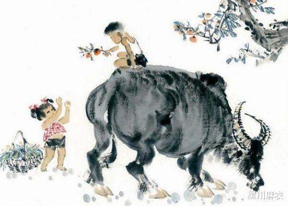 星川麻衣|家有3生肖，越老越好命，正能量满满，有福可享，日子就是旺