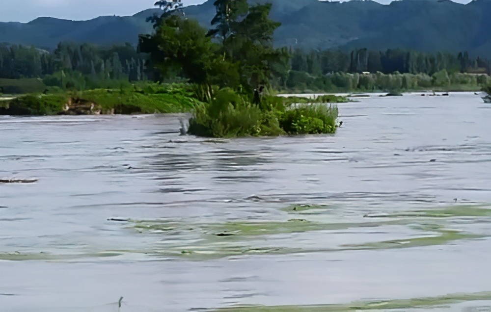 浏阳|浏阳一男子因钓鱼被困“孤岛”，强行脱困未果，警民协作成功被救