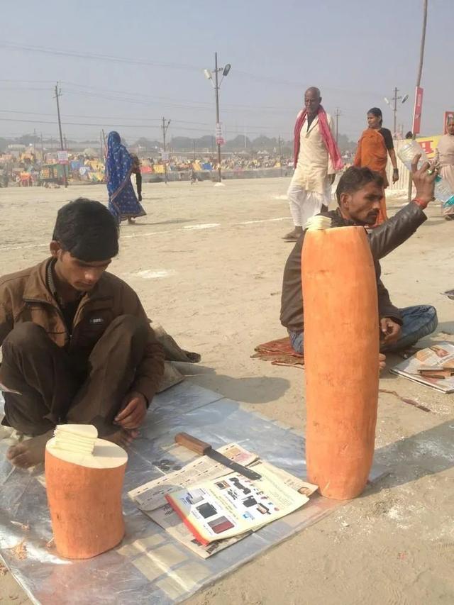 水母 趣读丨印度最带劲的水果，其实是一棵树