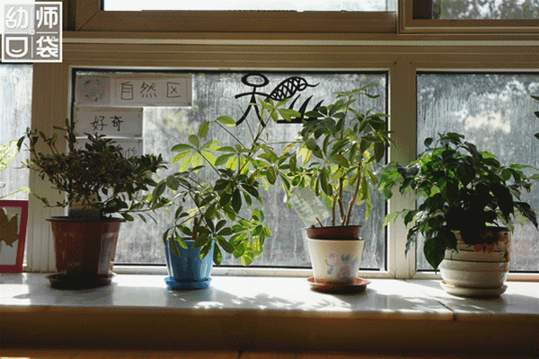 武老师的育儿科创空间|【托育】看看泰国托育机构吗？很清新、很自然的那种