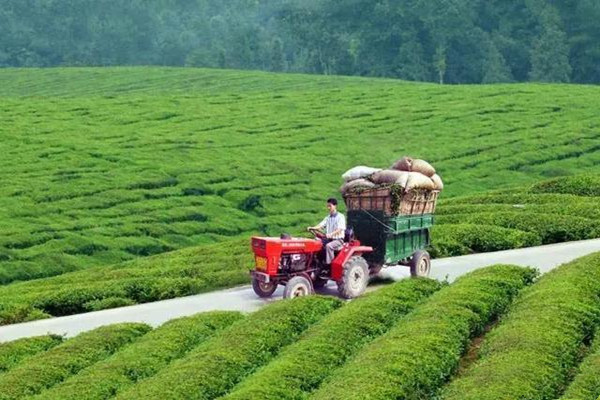 乡村信息 农村或将迎来“3项严查”