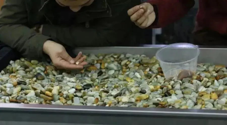 翡翠|五块钱的籽料，我敢卖你敢买不