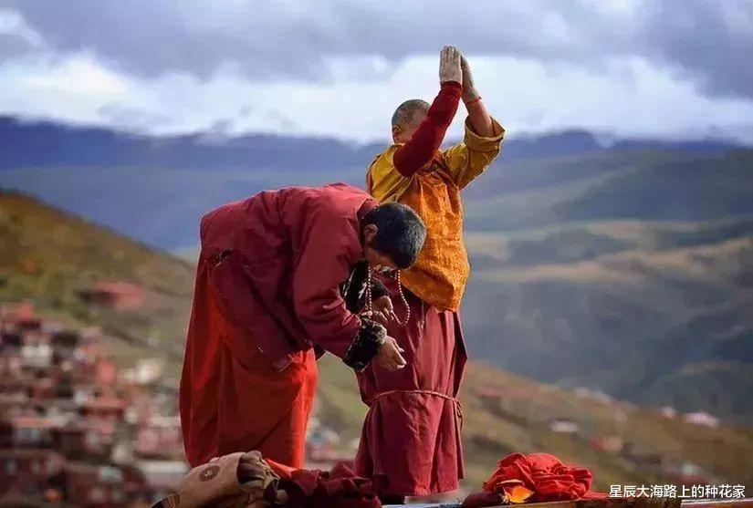 大别山 西藏1500多个湖中,有多达8亿公斤的鱼,为什么无人敢吃?