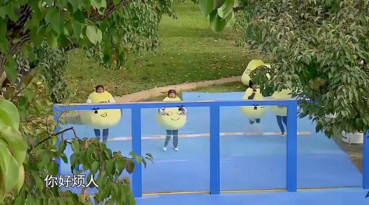 张柏芝|力压《五哈2》成霸屏榜王者,没有邓超陈赫,《跑男》为何这么横