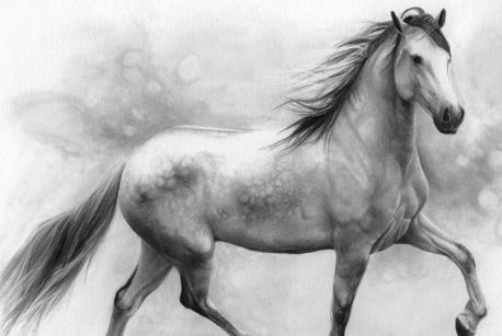 生肖|乘风破浪的三大生肖，越老越幸运，2021迎来事业春天！