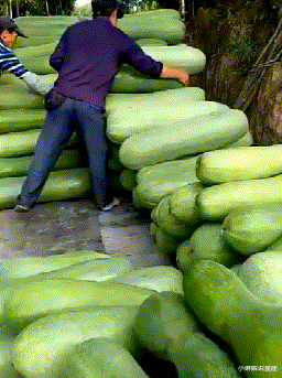 小琳解说星座|你都见过那些天理难容的男女关系？哈哈哈林子大了什么鸟都有