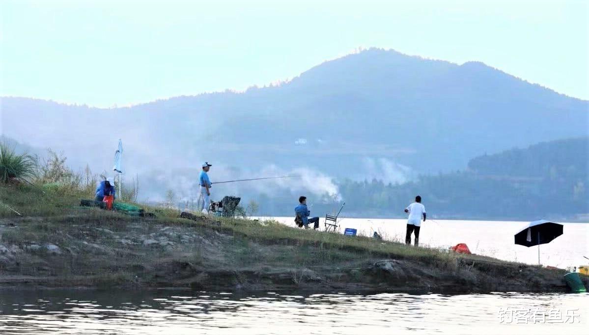 鲢鳙|钓鲢鳙其实不难，注意2点规则，新手照样爆护