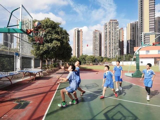 哑铃妈妈|中小学迎来重大改革，九月一号后落地实施，真是家长和孩子的福音