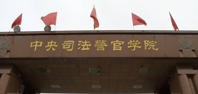 何沐青谈|毕业想报警校的考生注意了，这三点不要轻易踩，走错一步会后悔