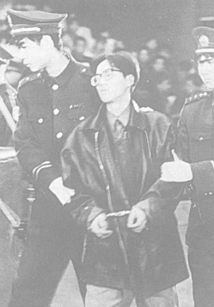 姐姐 惊世惨案的背后——洛阳特大杀人焚尸案揭秘