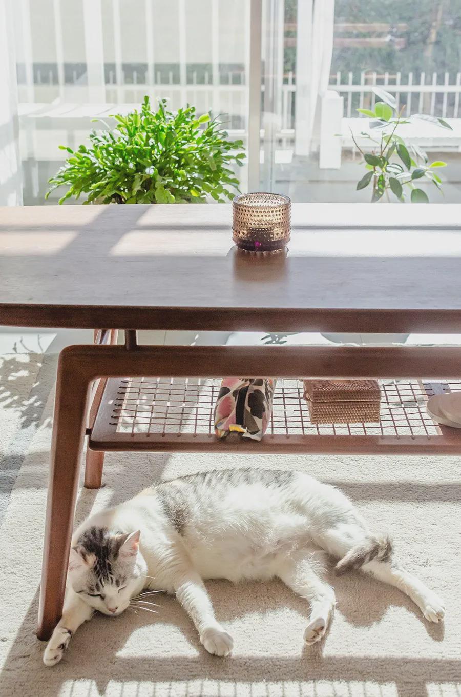 日本80后大叔会收纳，一人一猫独居135㎡，全屋收拾得很干净