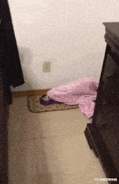 女孩|“去未婚妻家吃饭,结果和丈母娘穿成情侣装!”哈哈哈哈老丈人的脸都气绿了!