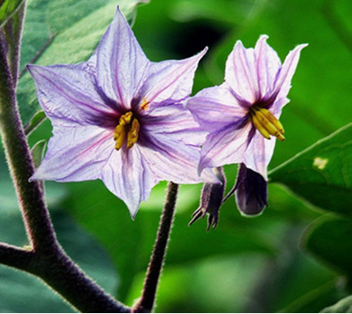 |哪些月份出生的人，职场年头顺到年尾，好运长长久久，诸事大吉