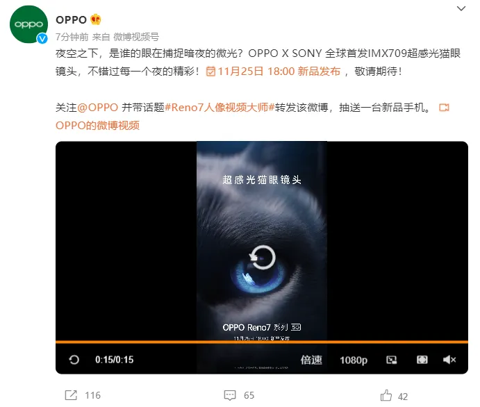 |猫眼镜头了解一下