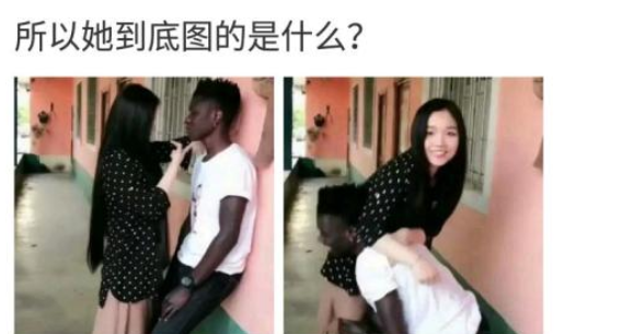 “相信大家都在海洋乐园里面看过真正的企鹅,但是企鹅化石大家可曾见过吗?”