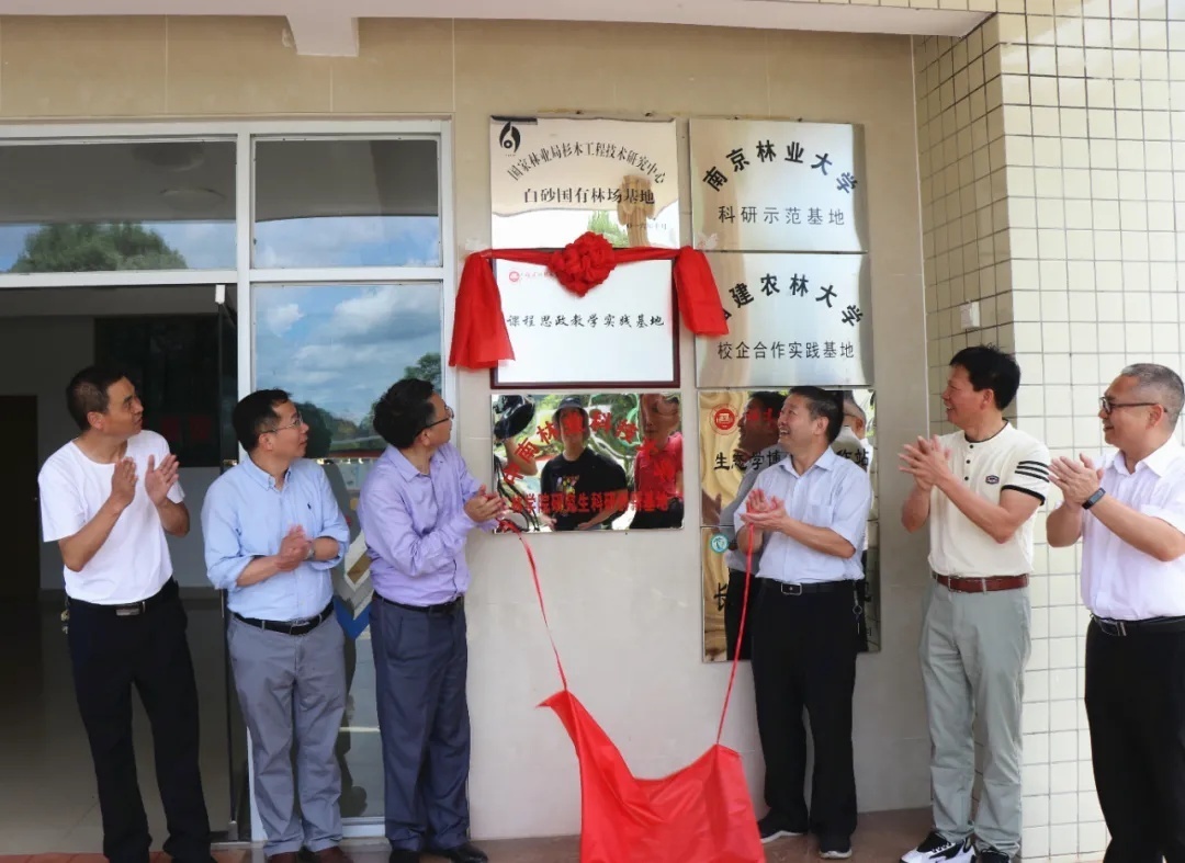 红色文化 【授牌仪式】福建师范大学授予上杭白砂国有林场“课程思政教学实践基地”荣誉牌