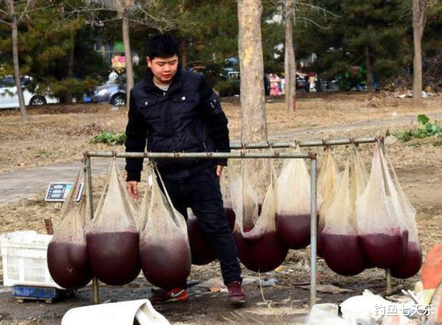 |钓鱼人眼中的诱饵,河底捞虫人眼中的“黑金”!靠捞虫子日入过万